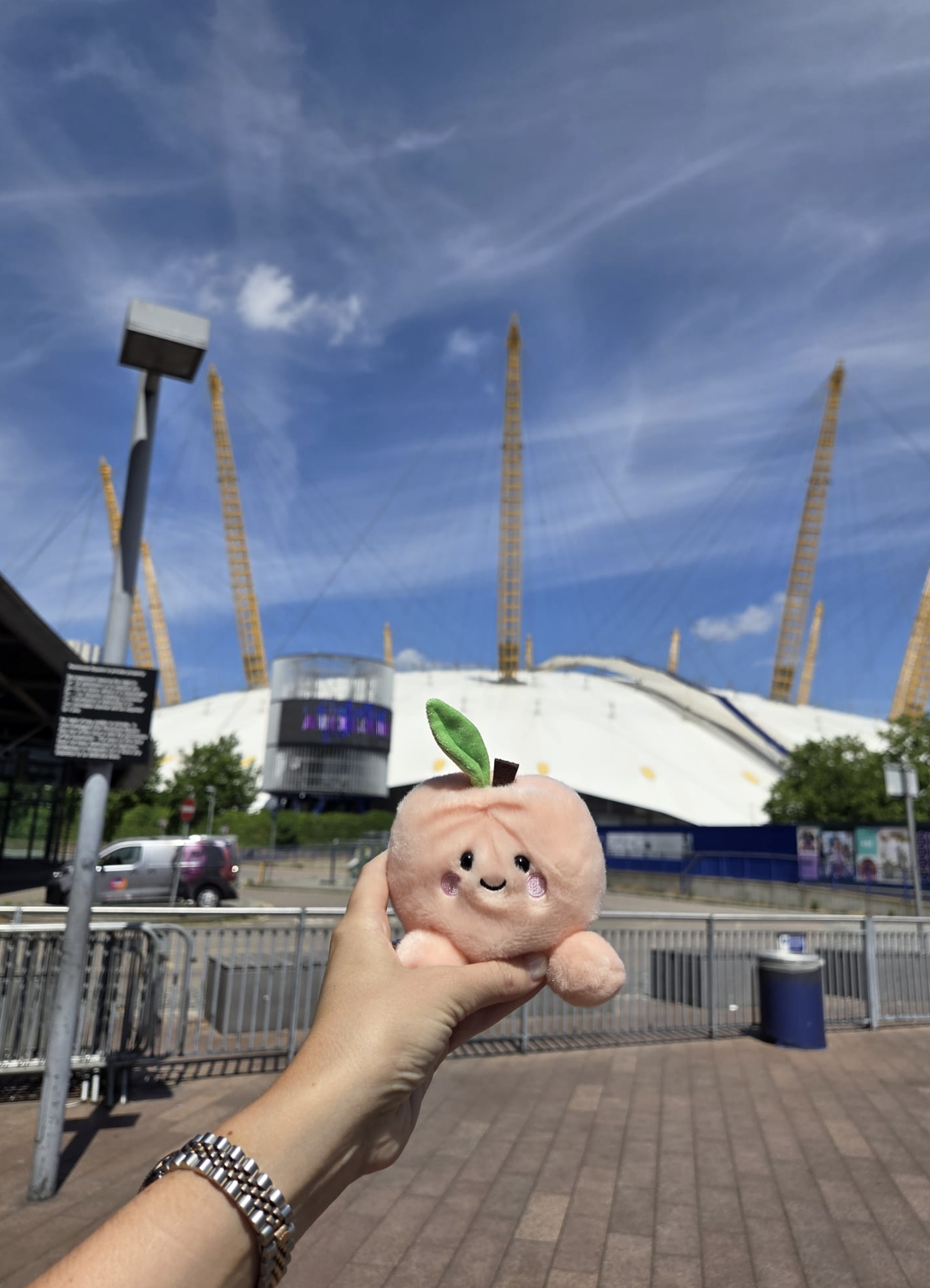Peach plush toy held up proudly in front of the O2 Arena, Greenwich